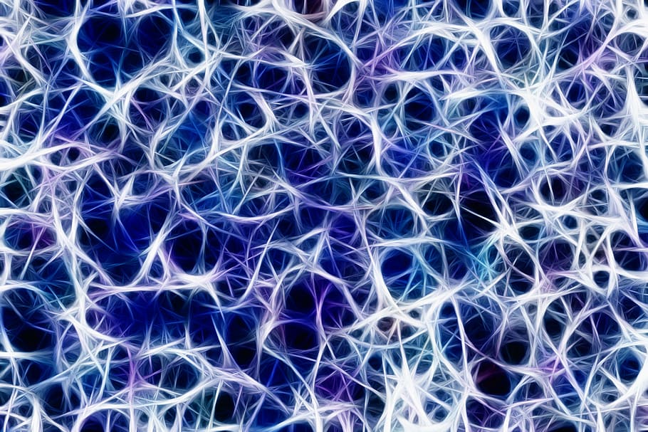 푸른, 화이트, 디지털, 벽지, 신경, 회로망, 신경계, 선, 연결, 신경 뇌관