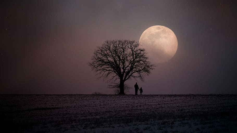 father, child, standing, baretree, looking, moon, winter, wintry, human, father and child