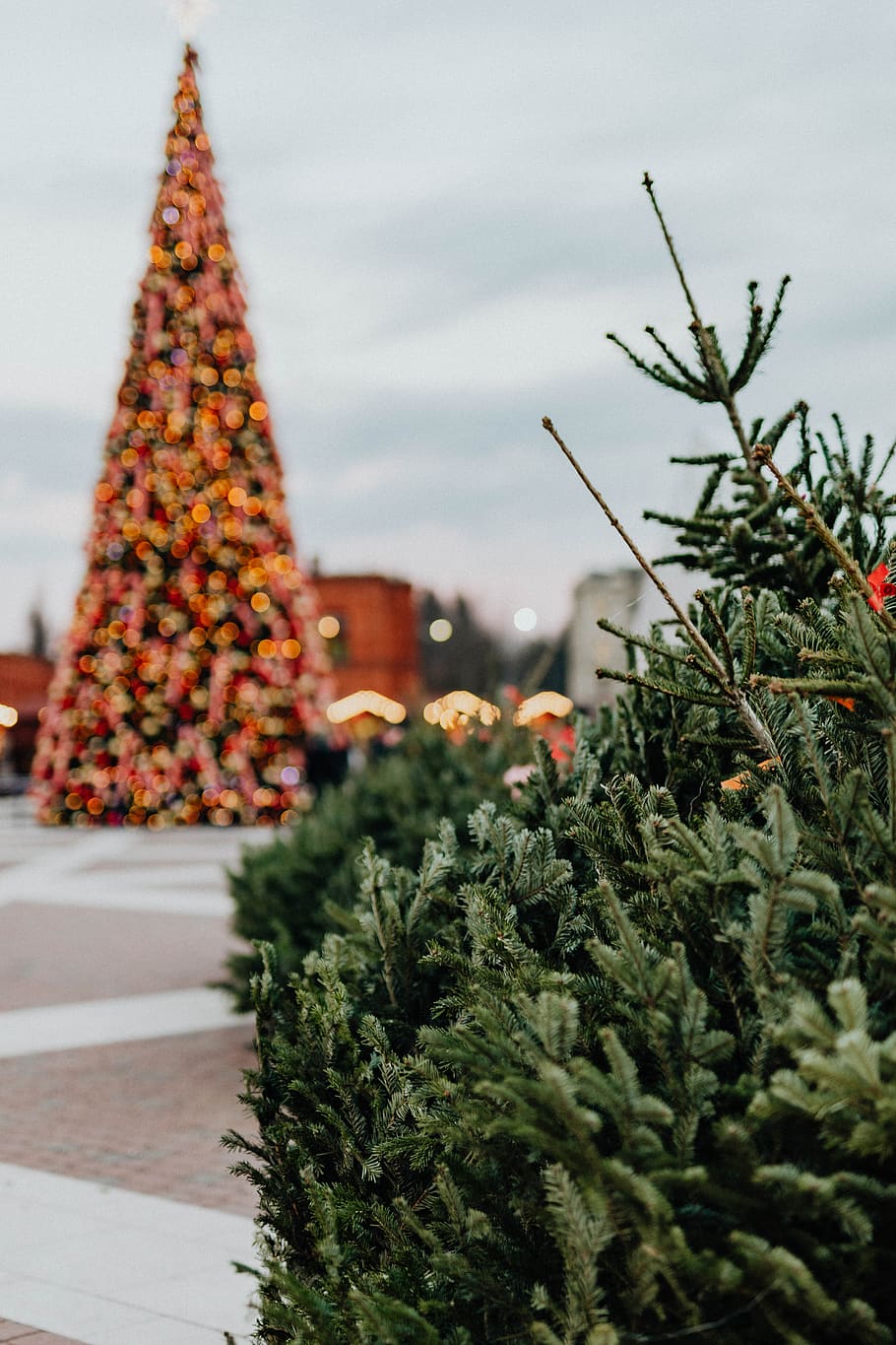 compras, shopping, dezembro, Polônia, lodz, łódź, Europa, Natal, árvore, decorações