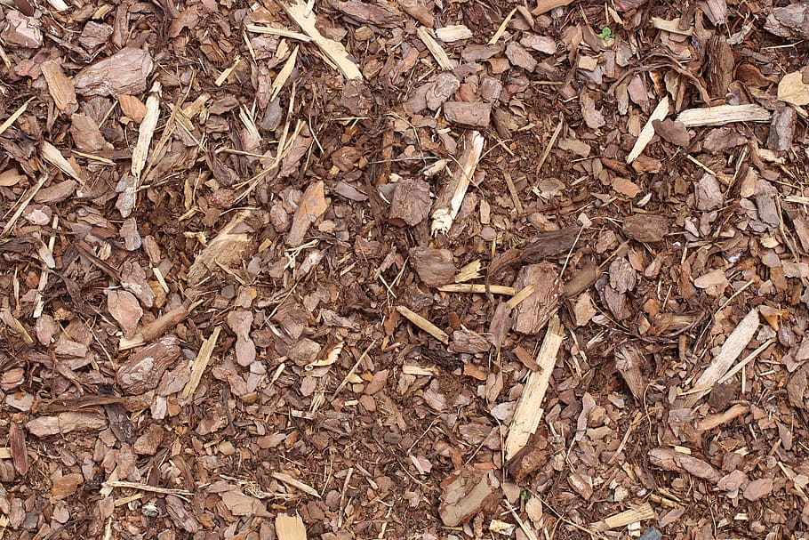 bark mulch, texture, background, snippets, wood, crushed, brown, splitter, pattern, full frame