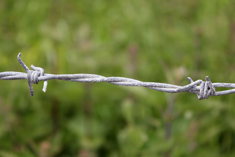 barbed wire, fence, demarcation, barrier, boundary, security, protect, limit, thorn, spikes