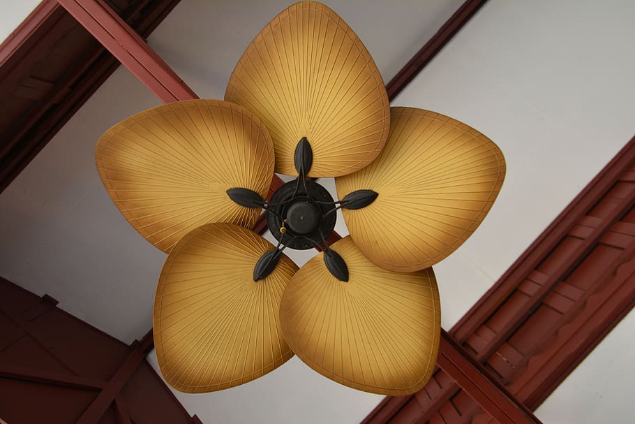fan, ceiling fan, air, cool, interior, home, ceiling, house, electric, electrical