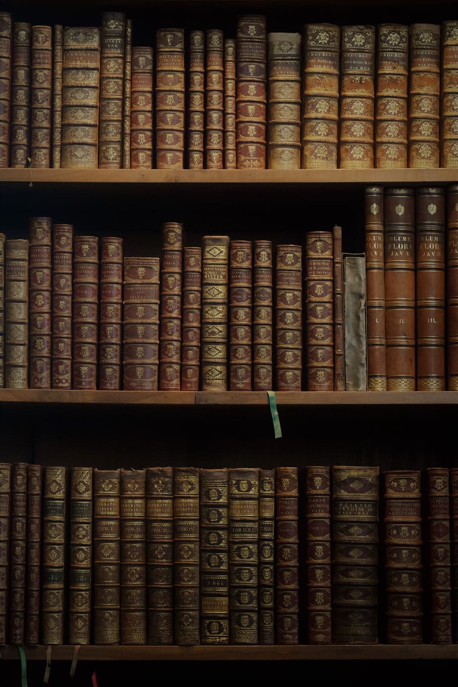 lote de livro marrom, livros, capas, estante de livros, velho, biblioteca, educação, tomos, coluna, couro