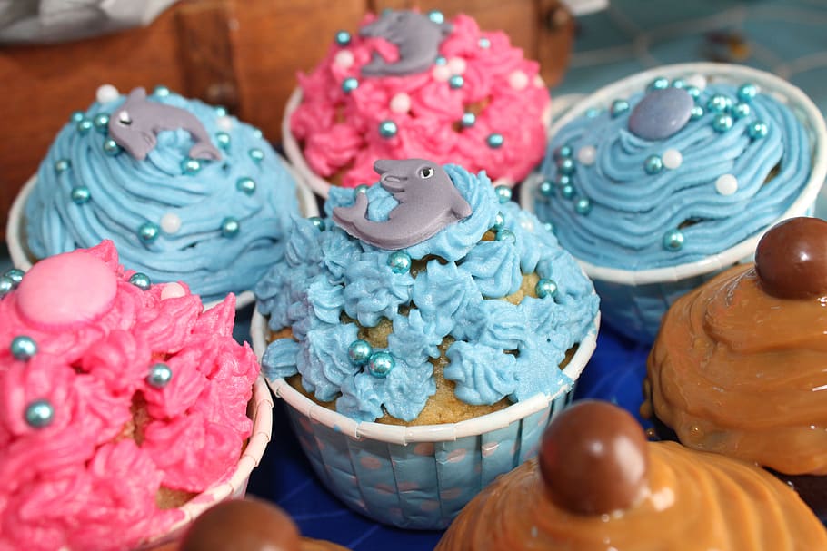 cupcakes, kue, pesta, ulang tahun, frosting, icing, pink, biru, makanan, suguhan