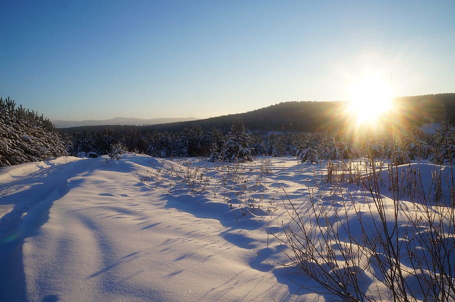 winter, snow, village, russia, cold, frost, nature, winter sun, white, russian winter