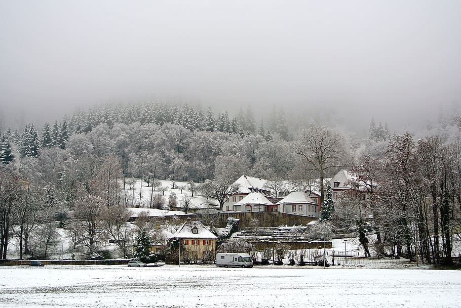 Freiburg, Snow, Robert Bosch College, mist, frosty, forest, black forest, germany, winter, cold
