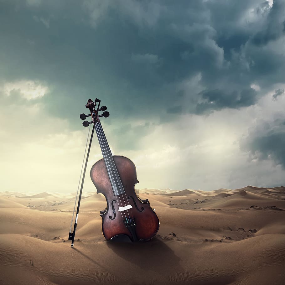musical instrument, violin, music, musical instruments, instrument, classic, stringed instrument, art, stringed instruments, desert