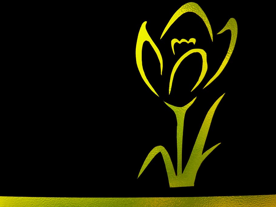 flower, tulip, contour, outlines, yellow, silhouette, green color, studio shot, black background, night