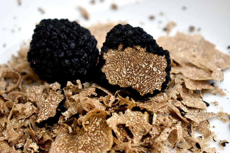 truffles, truffle, burgundy, grated, cup, gastronomy, preparation, kitchen, fungus, close-up