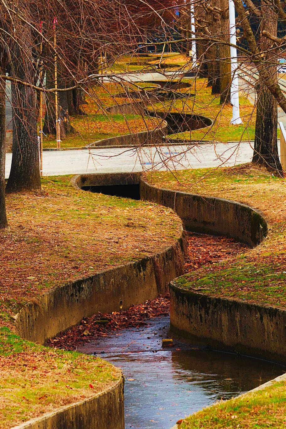 winding canal, cold, winter, landscape, water, pattern, curvy, tree, plant, nature