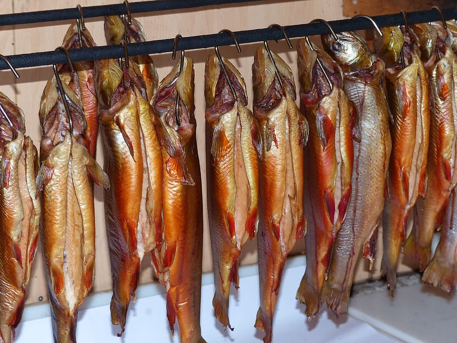 Char, Fish, Smoked, fischraeucherei, smoked fish, hanging, food and drink, seafood, food, dried food