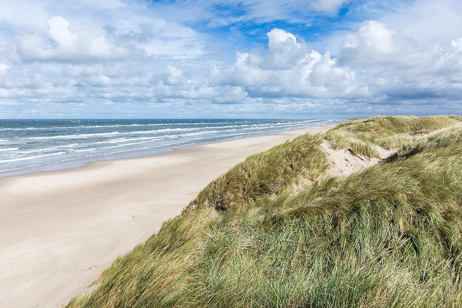 jutland, denmark, beach, sea, dunes, dune landscape, north sea, danish coast landscape, land, water