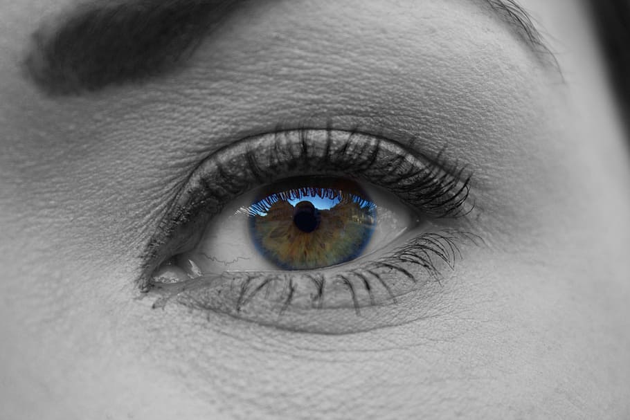 seletiva, fotografia de foco colorido, pessoa, olho, azul, retina, cor seletiva, foco, fotografia, olhar