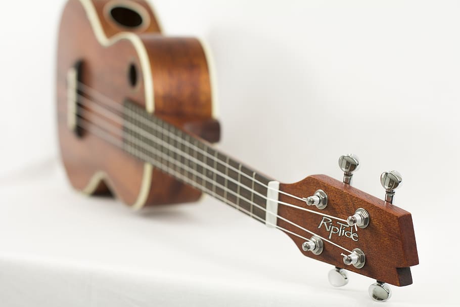 brown, riptide ukelele, shallow, ukulele, instrument, music, string, acoustic, wood, musician