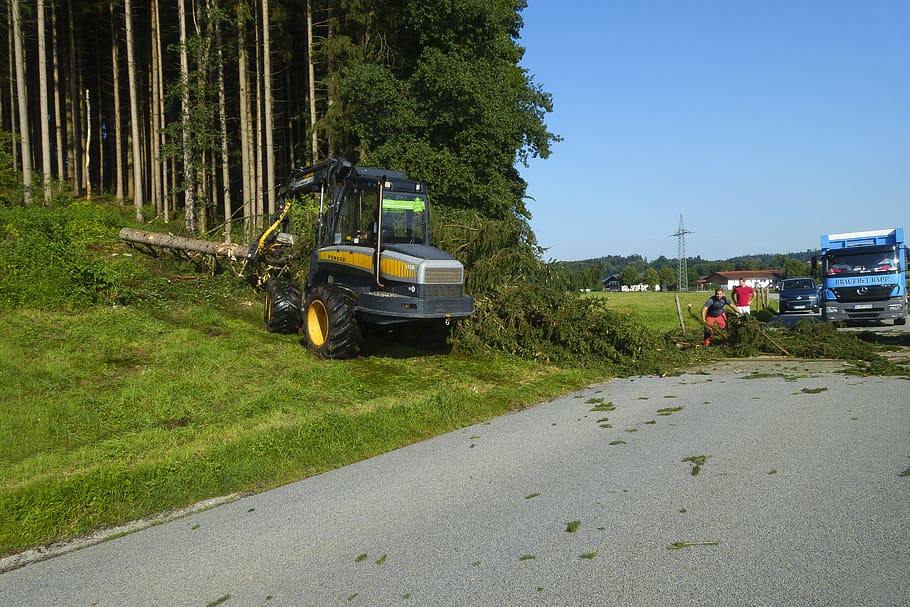 cleanup, tree, uprooted, road, locked, storm damage, heavy, device, tree gripper, faceplate
