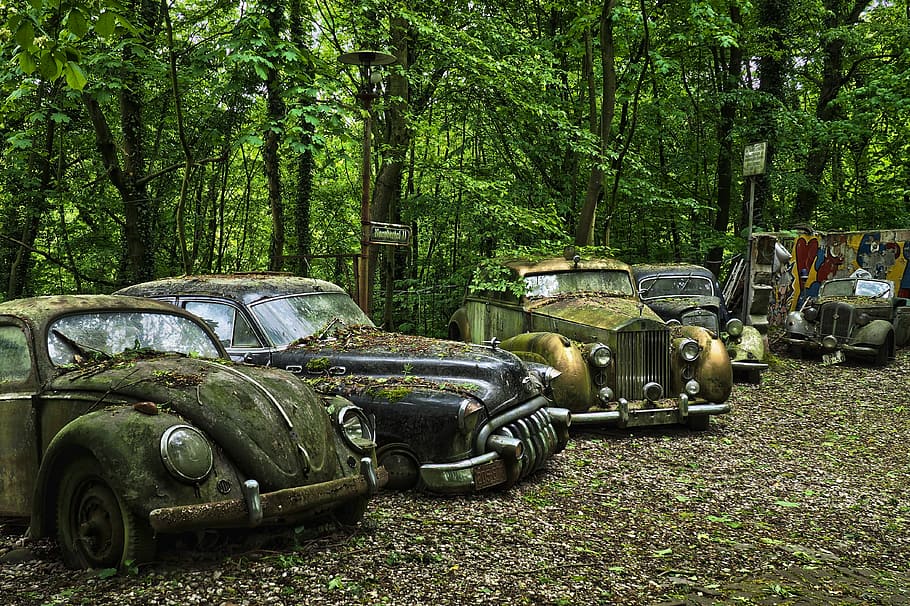 car, parked, trees, auto, car cemetery, oldtimer, old, rust, stainless karre, stainless