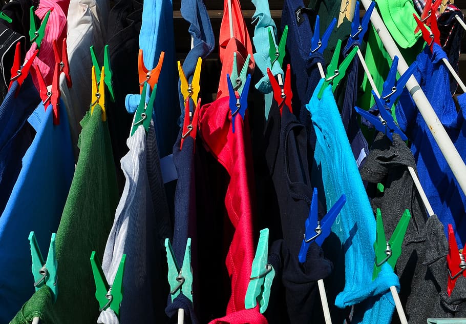 laundry, clip, clothes peg, hang, budget, dry laundry, dry, leash, wash, hang laundry
