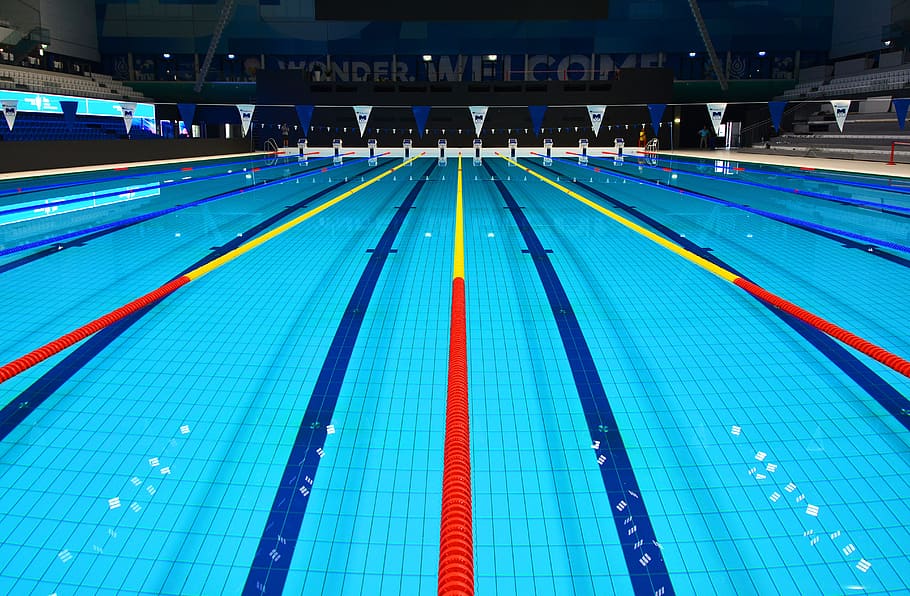 danube arena, budapest, world cup, pool, water, sports, building, sport, swimming lane marker, swimming pool