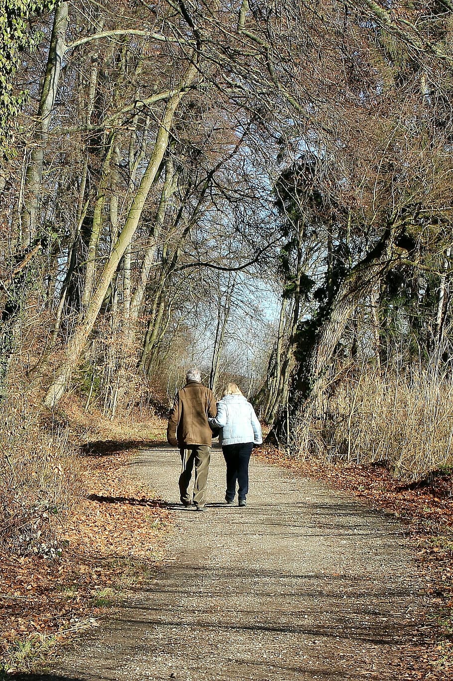 man, woman, wearing, jackets, walking, pathway, trees, nature, away, walk
