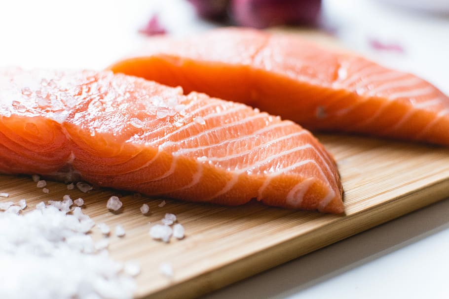 salmon fillets, Salmon, fillets, close up, fish, healthy, white background, food, seafood, sushi