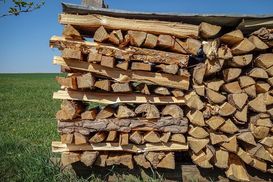 pilha de madeira, lenha, madeiras, log, hackeado, serrado, arbitrar, natureza, madeira, empilhado