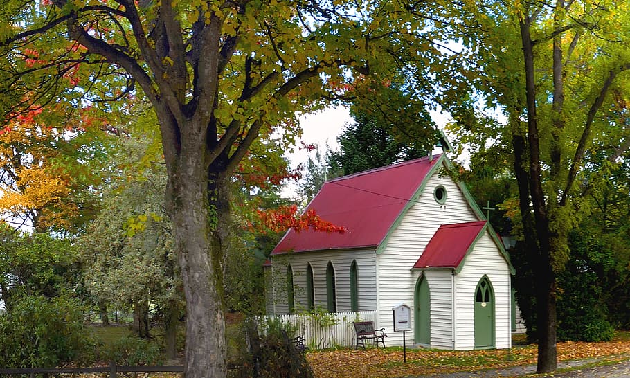 St Paul, Anglican Church, Arrowtown, NZ, red and white church, tree, plant, architecture, building exterior, built structure