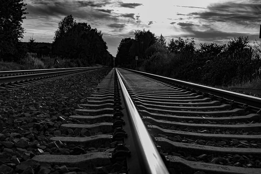 railway line, railway tracks, black and white, rails, railway rails, rail transportation, track, sky, railroad track, tree