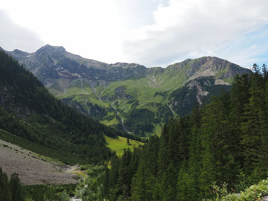 wildberg, motta head, brandnertal, seetal, mountain, mountains, alpine, schesaplanagruppe, rätikon, central alps