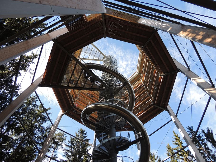 trail treetops, trip, slide, activities, for children, view, low angle view, architecture, built structure, day