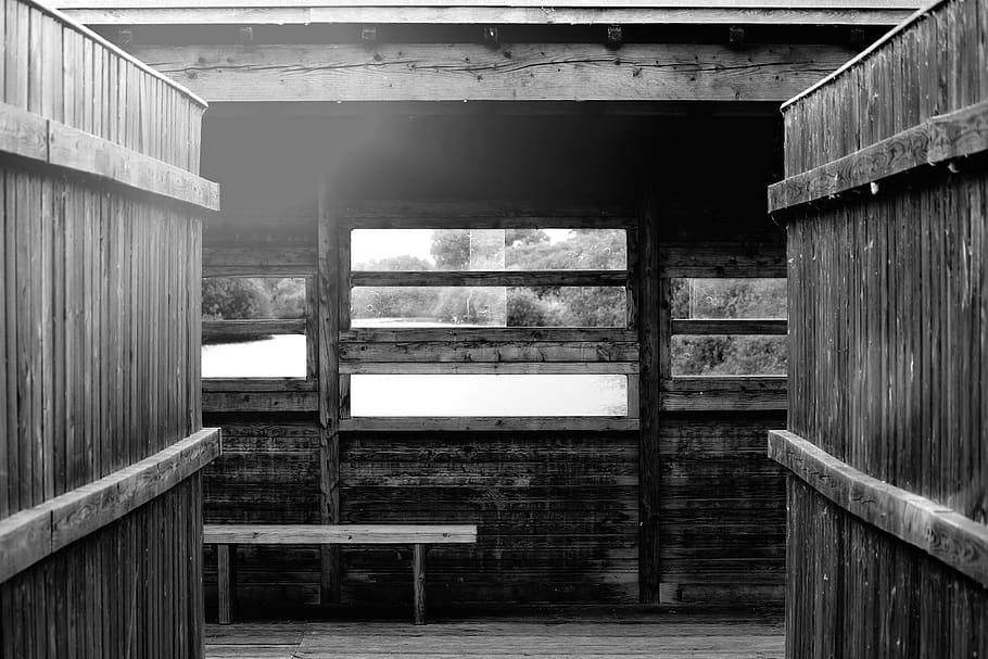 hut, view, overview, window, wood, wall, wooden wall, rest, nature, s w