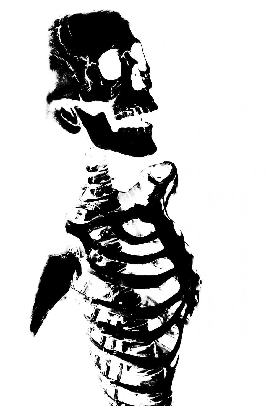 black, white, human, skeleton illustration, skeleton, skull, halloween, people, mask, dummy