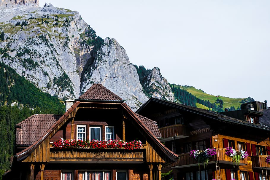 brown, wooden, house, mountain, white, clouds, daytime, swiss farmhouse, mountains, chalet