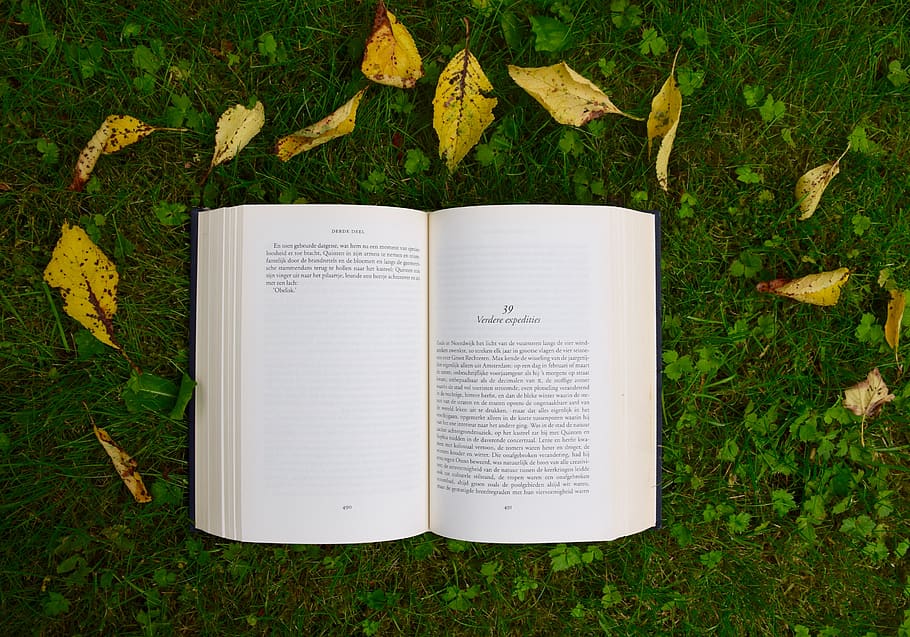 book, reading, study, school, green, grass, outdoor, leaf, publication, plant