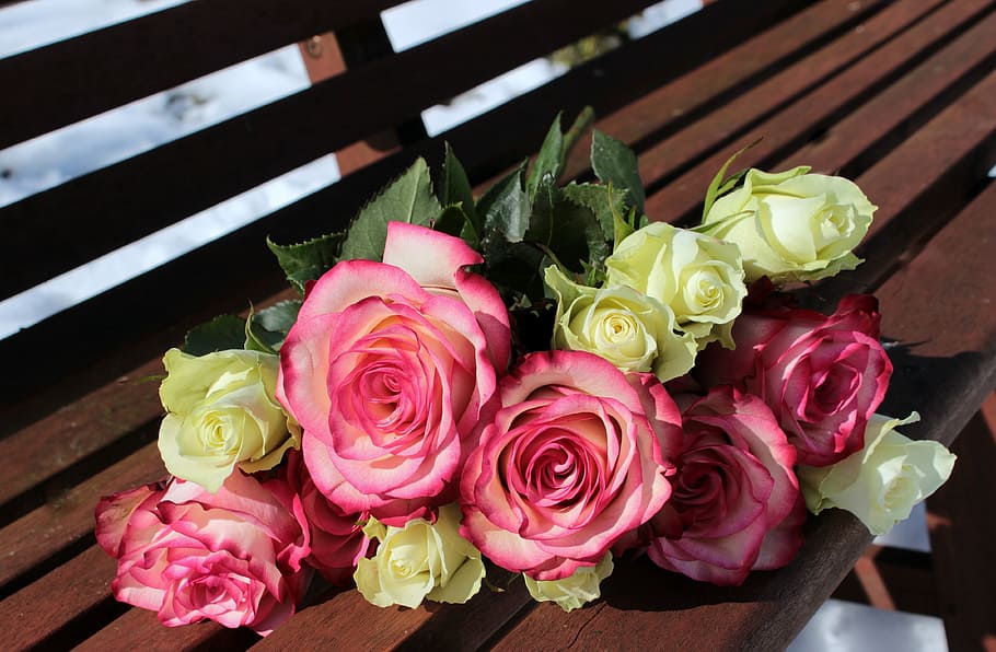 pink, yellow, petaled flowers, brown, wooden, bench, bouquet of roses, pink roses, white roses, bouquet