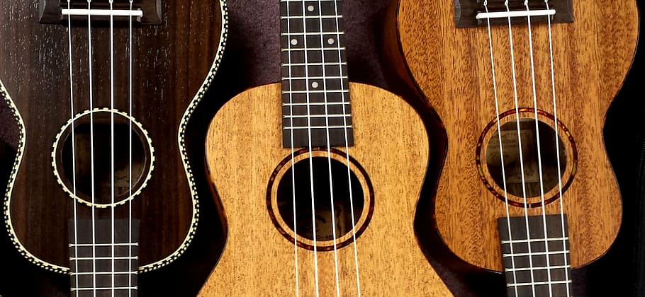 three, assorted-color, wooden, ukuleles, ukulele, snail, ukes, music, strings, instrument
