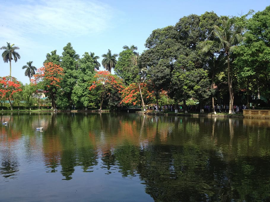 Uncle Ho, Lake, Vietnam, uncle ho's lake, vietnamese, ha noi, travel in hanoi, vietnam lanscape, tree, hanoi capital