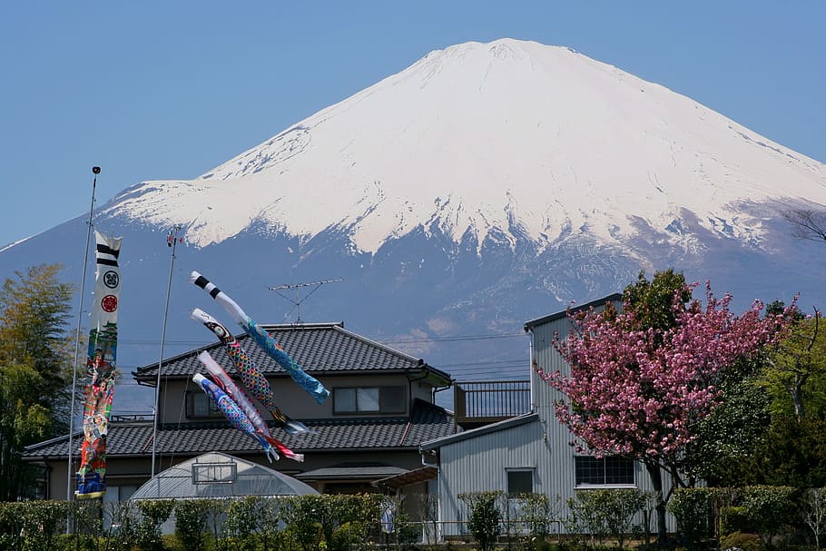 Gunung Fuji, Gotemba, Satsuki, mei, streamer ikan mas, streamer, musiman, acara, anak-anak, prefektur shizuoka