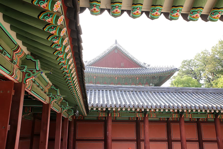 mono, changdeokgung, ciudad prohibida, república de corea, tradicional, seúl, teja, corea, edificio, palacios