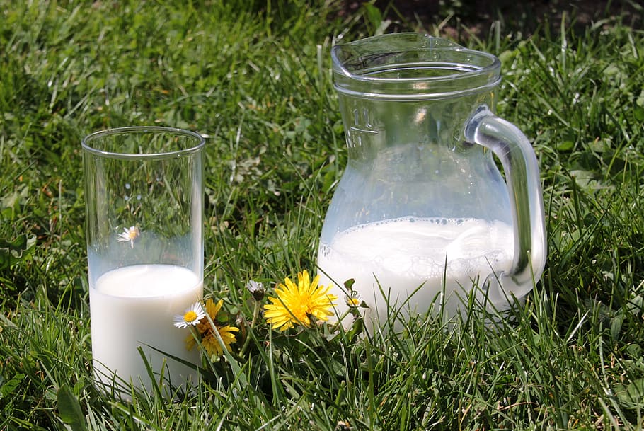 clear, glass pitcher, drinking glass, grass field, milk, glass, carafe, food, drink, benefit from