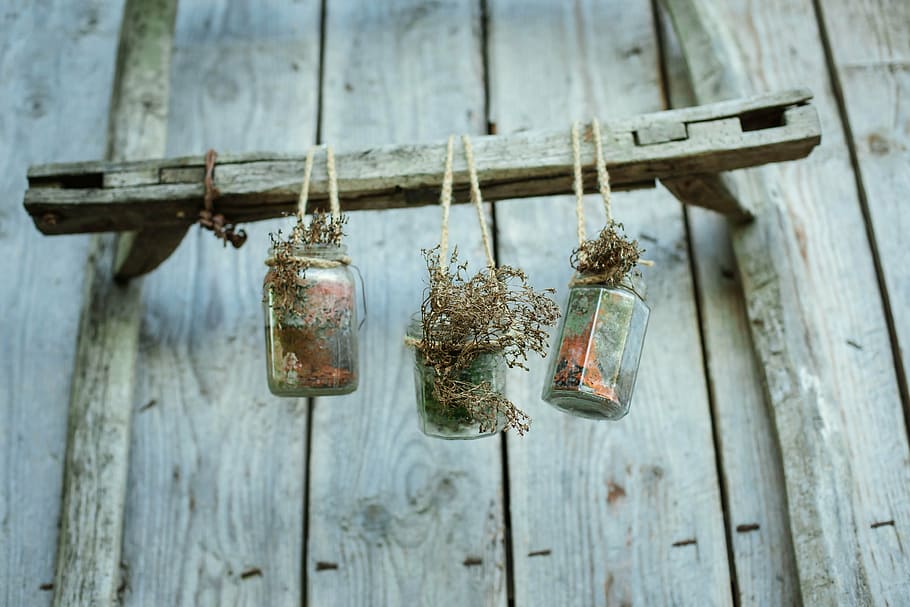 three, clear, glass plant jars, hanged, wall, flower, vase, hang, glass, jar