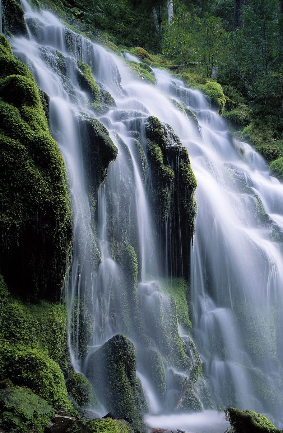 滝, 水, 自然, 風景, 現在, 山, 植生, 自然の美しさ, 風景-自然, 長時間露光