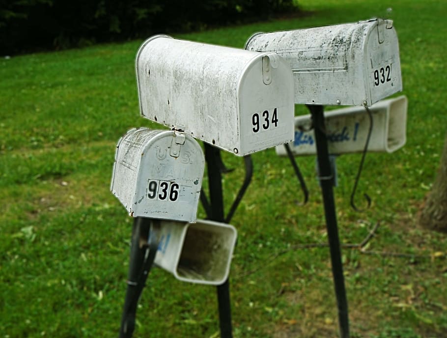 buzón, correo, números, sucio, postal, entrega, comunicación, texto, día, hierba