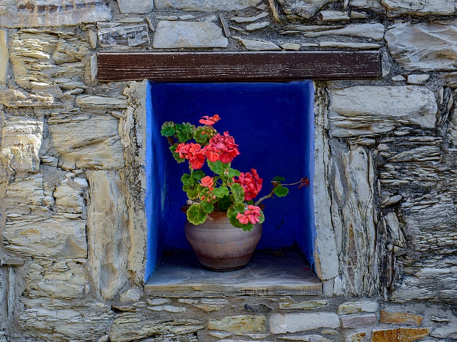 vaso de flores, decoração, parede, arquitetura, tradicional, vila, panorama lefkara, chipre, planta com flor, planta