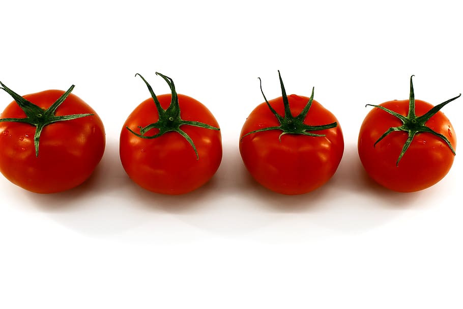 fondo blanco, tomates rojos, frescos, vegetales, limpio, cuatro tomates, con una ramita verde, lavado, alimentos, nutrición