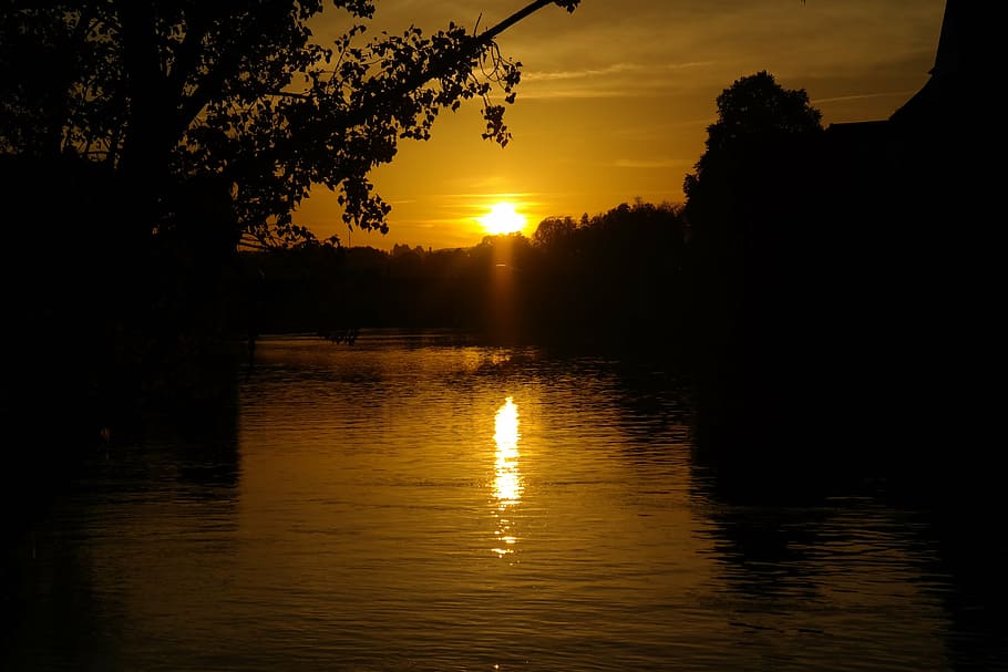 sunset, river, danube, water, tree, branch, sun, evening, back light, reflection