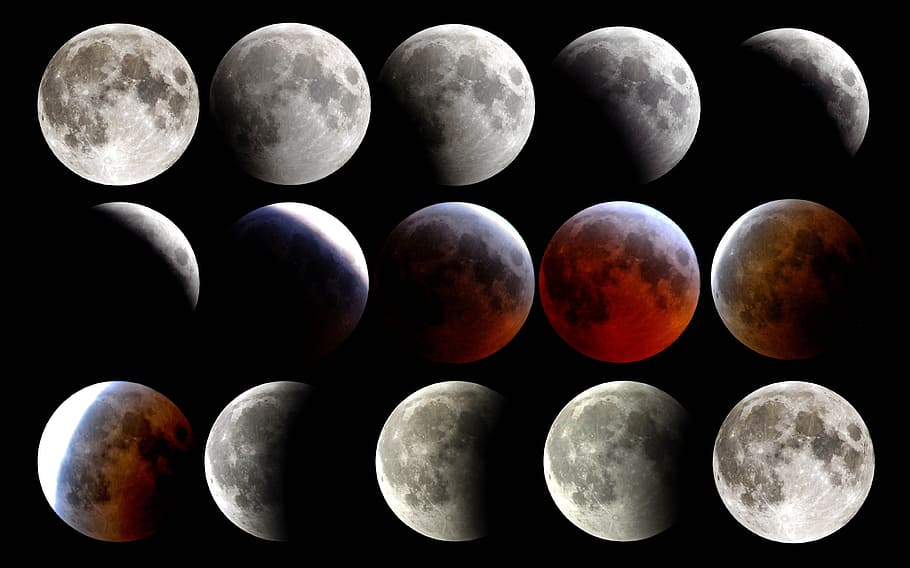 assorted, moon angle collage, moon, transition, progress, total, stages, full lunar eclipse progression, black background, in a row