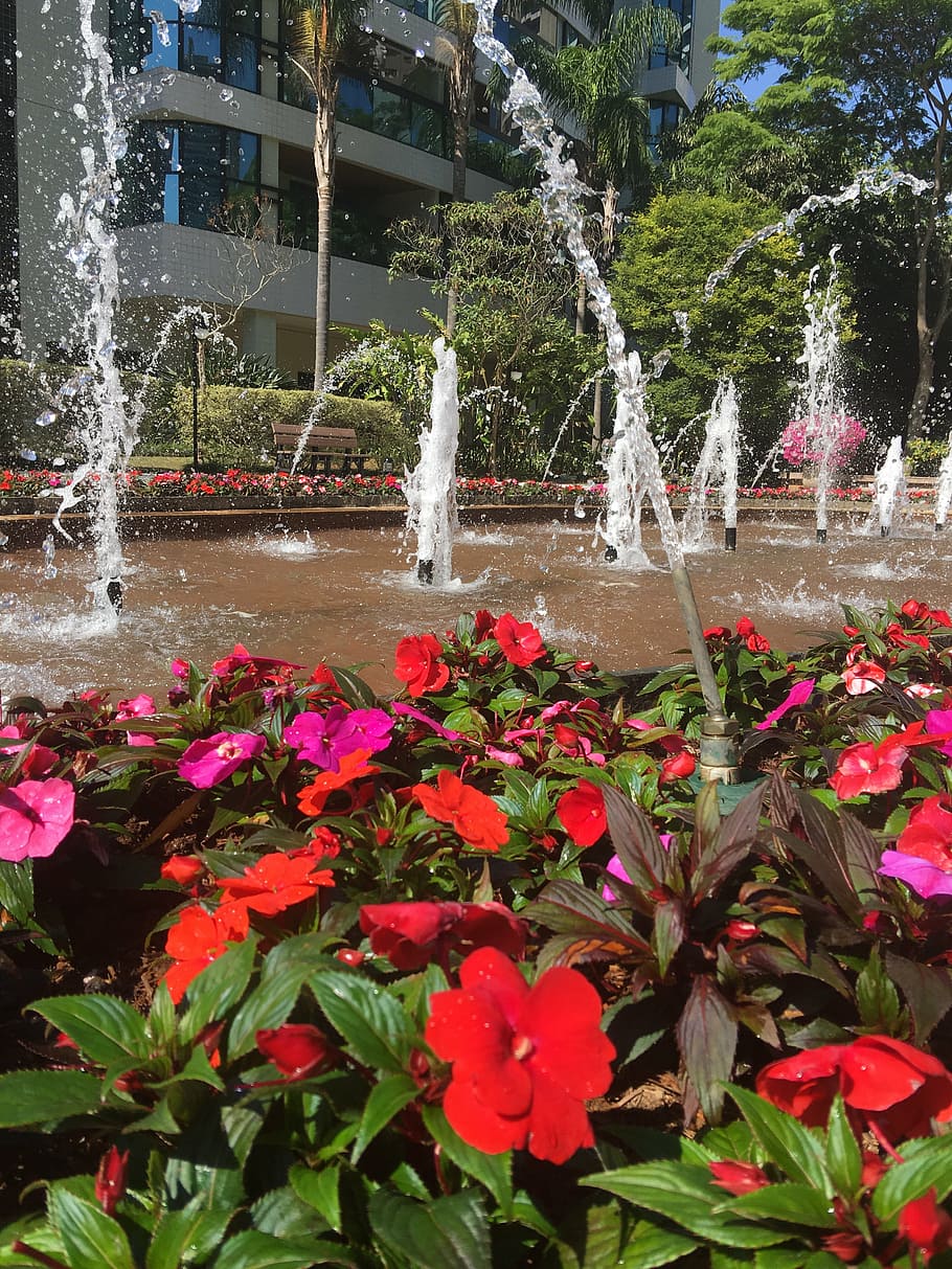 fountain, flower, landscape, garden, spring, flowers, petals, plant, flowering plant, growth