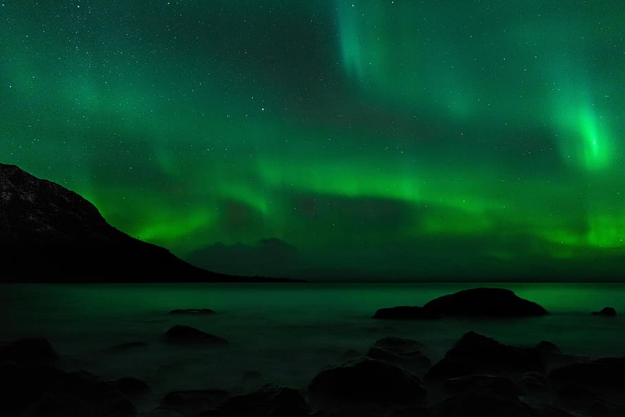 aurora borealis fotografi, cahaya utara, langit, tiga, sifat, lanskap, pohon, awan, biru, salju