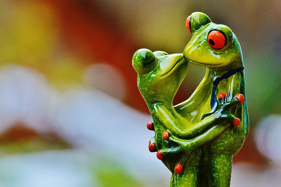 two, green, frogs, kissing, valentine's day, love, pair, kiss, together, figure