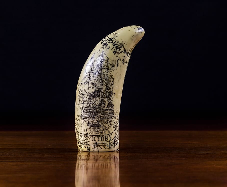 Scrimshaw, Marfim, Gravura, Escultura, osso de baleia, dente de baleia de esperma, velho, fundo preto, close-up, madeira - material